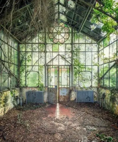 A sunny day in the winter garden