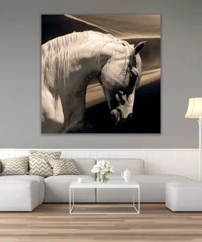 Alternative view of Arabian Horse