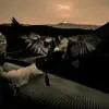 Arabian Hunt