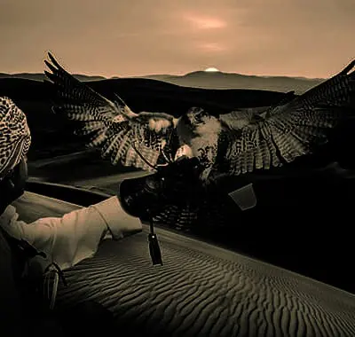 Arabian Hunt