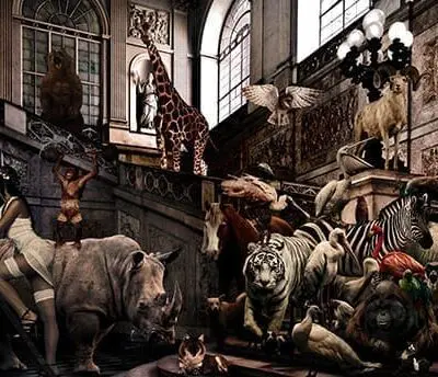 City Jungle