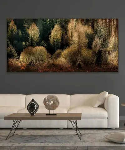 Alternative view of Dutch Forest