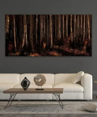 Alternative view of Dutch Forest I