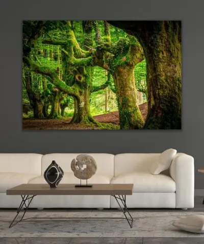 Alternative view of Gorbeia Forest
