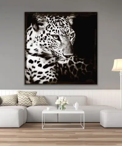 Alternative view of Leopards Gaze
