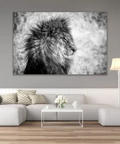 Alternative view of Lion King