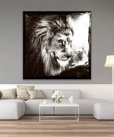Alternative view of Lion’s Prowess