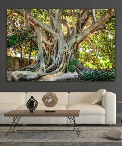 Alternative view of Old Tree Sicily