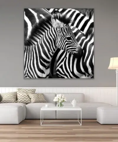 Alternative view of Zebra