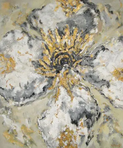 Stella Illuminata