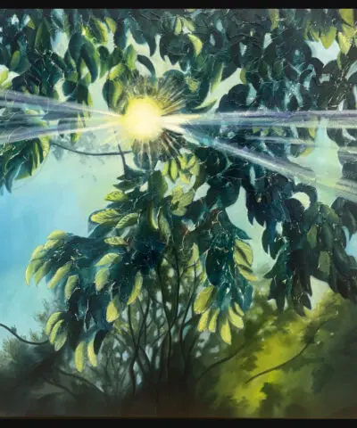 A moment of light