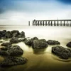 Coastal Lines