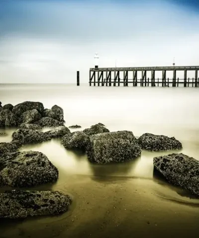 Coastal Lines
