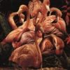 Flamingo Paradise