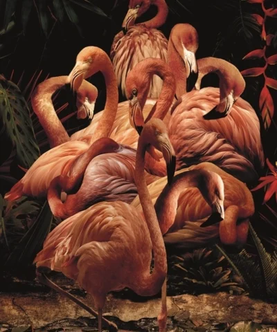 Flamingo Paradise