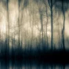 Forest Whispers Part I