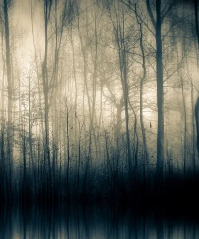 Forest Whispers Part I