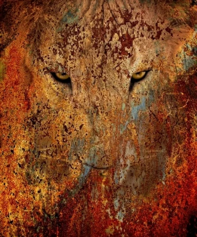The King