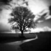 The Road