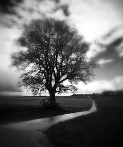 The Road